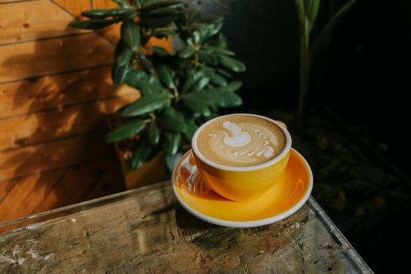 Mastering the Art of Parka Fashion: Elevate Your Winter Wardrobe with Chic and Practical Outfits